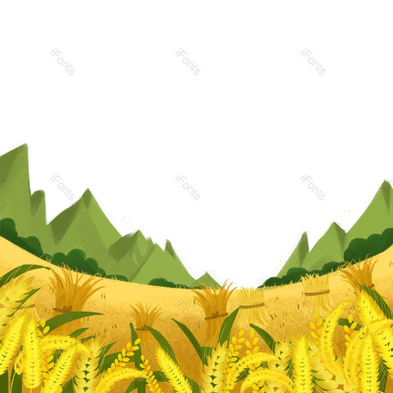 芒种图片,秋天元素,麦子PNG,插画免抠素材